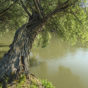 large_img_3044.jpg